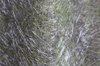 Bealbury fibreglass roof work